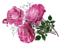flowers-5119654_1280 (198x149, 52Kb)